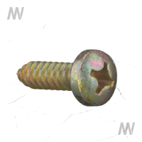 Schraube selbstsichernd