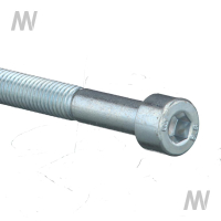 Allen screw