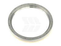 Shaft seal ring