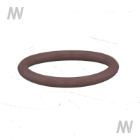 O-ring