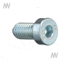 Allen screw with round head