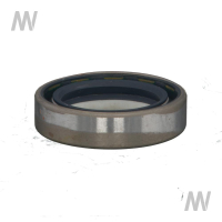 Shaft seal ring