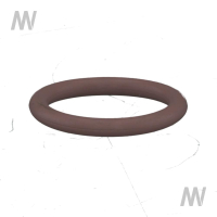 O-Ring unter Filtergehäuse/Schrau
