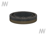 Shaft seal ring