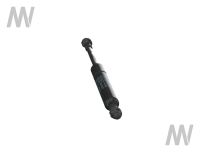 Gasdruckdämpfer Kabinentür