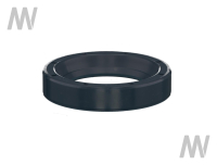 Shaft seal ring
