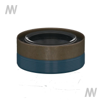 Shaft seal ring