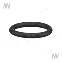 O-ring