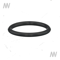 O-ring