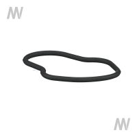 Dichtring Kraftstofffoerderpumpe