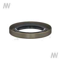 Shaft seal ring