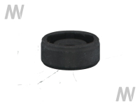 Shaft seal ring