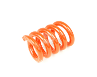 Regelfeder für Kraftheber