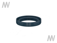 Shaft seal ring