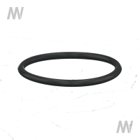 O-ring
