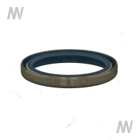 Shaft seal ring