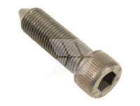 Allen screw M12 x 1.25 x 40 10.9