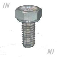 Entlueftungsschraube