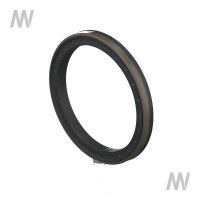 Shaft seal ring