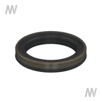 Shaft seal ring