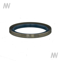 Shaft seal ring