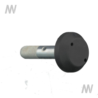 Spezialschraube m. Kappe