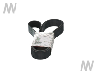 Rillenriemen  Lüfter 10PK - 2152