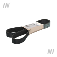 Rillenriemen 10PK - 1696