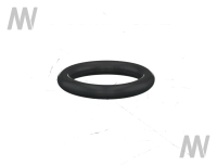 O-Ring