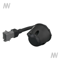 Steckdose 7-pol hinten