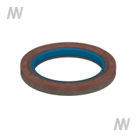Oil seal
