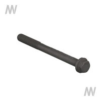 Cylinder head screw