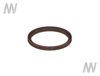 Shaft seal ring