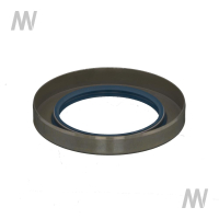 Shaft seal ring