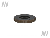 Shaft seal ring