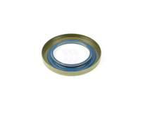 Shaft seal ring