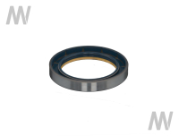 Shaft seal ring