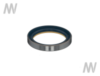 Shaft seal ring