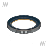 Shaft seal ring