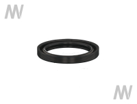 Shaft seal ring