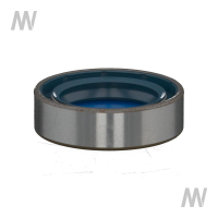 Shaft seal ring