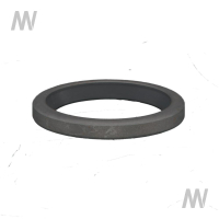 Shaft seal ring