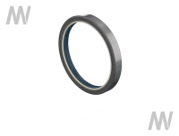 Shaft seal ring