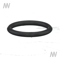 O-ring