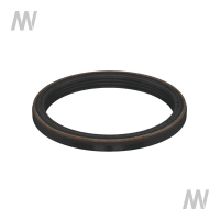 Shaft seal ring