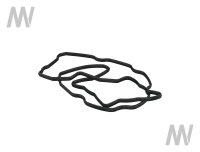 Ventildeckeldichtung