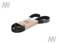 Rillenriemen 8PK - 1381