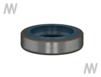 Shaft seal ring