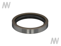 Shaft seal ring