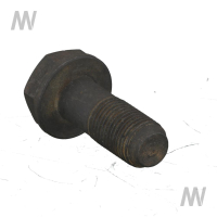 D series flywheel screw